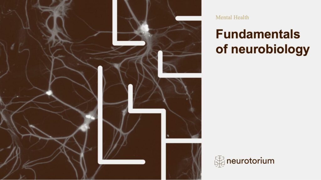 Mental Health - Fundamentals of Neurobiology - slide 1